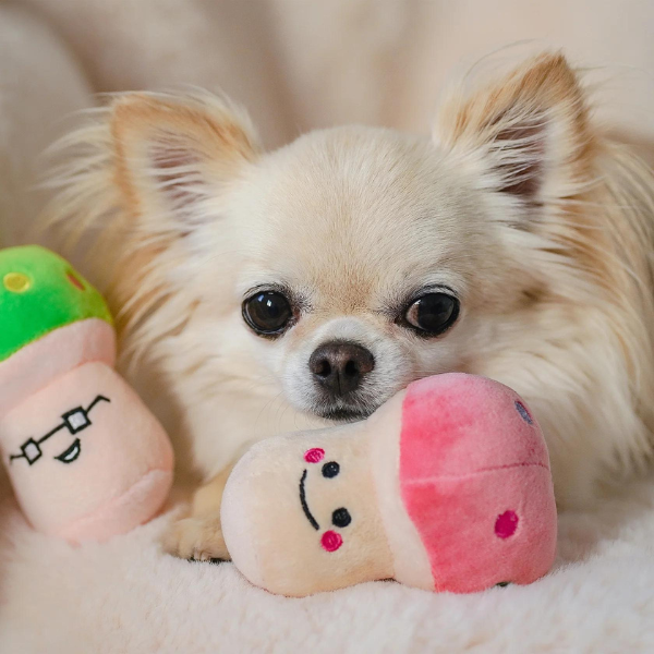 Image of a plush squeaky dog toy.