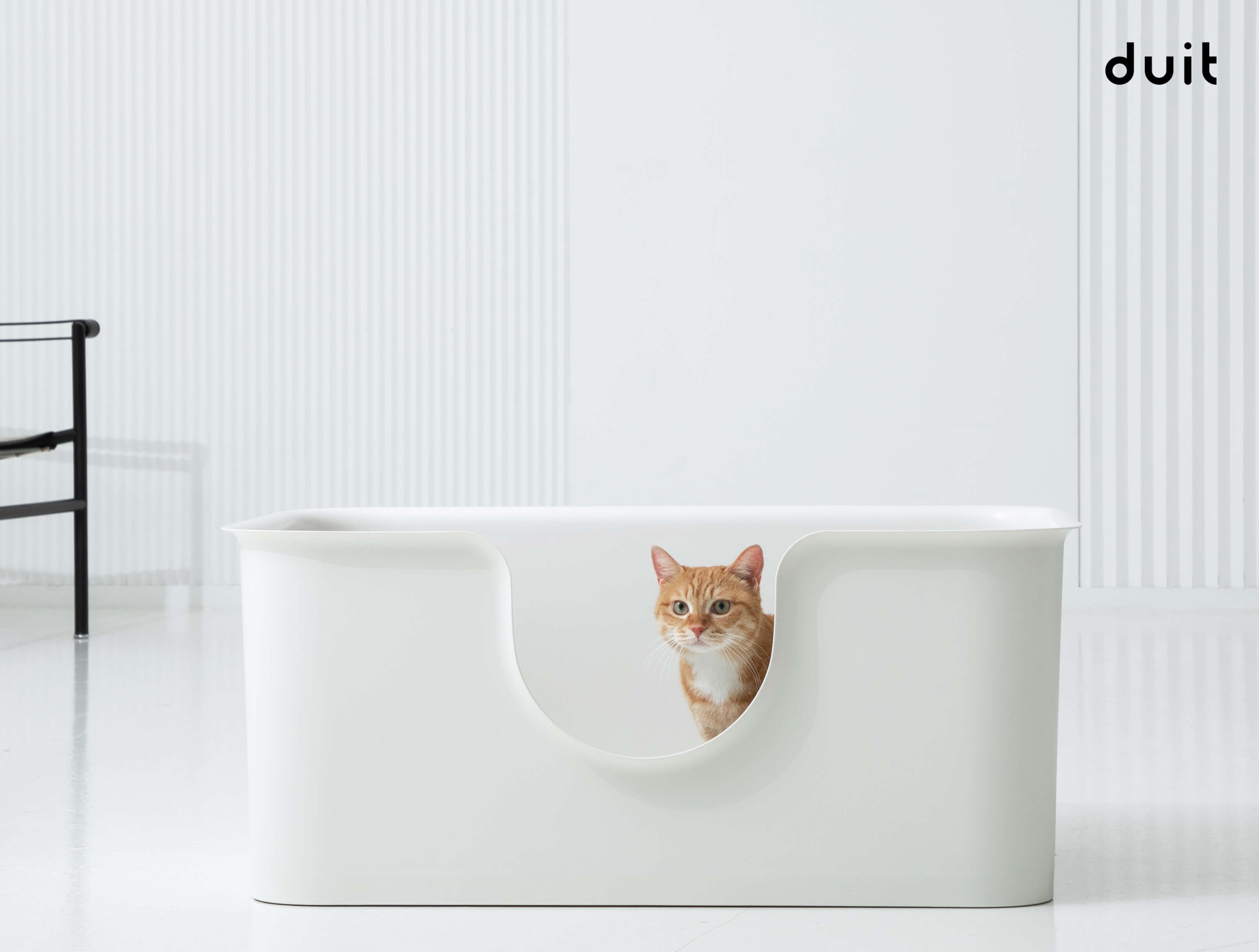 Orange cat using a wide litter box.