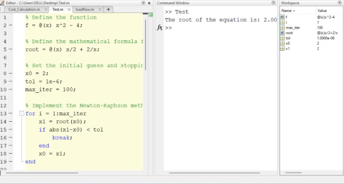 newton raphson method matlab code example
