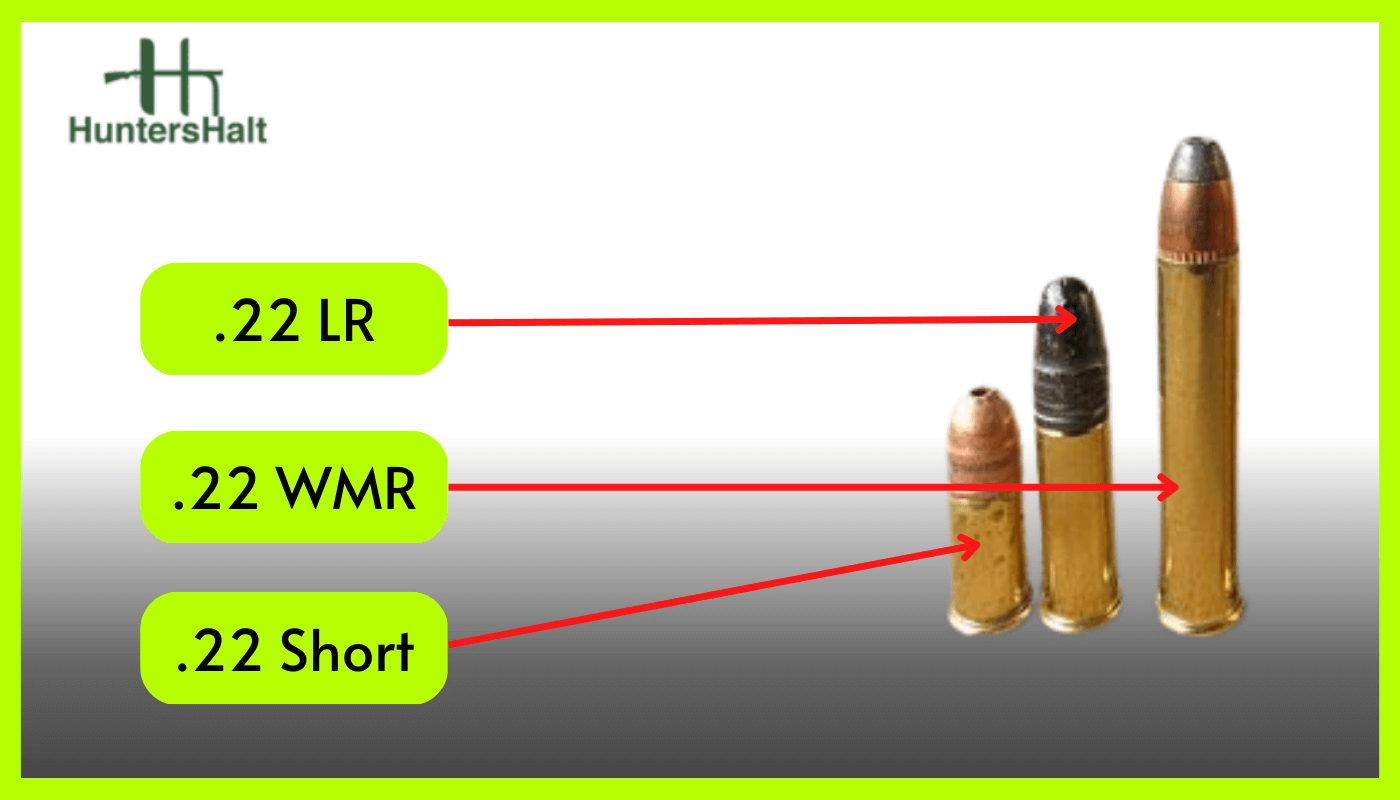 picture of the different types of 22 rounds