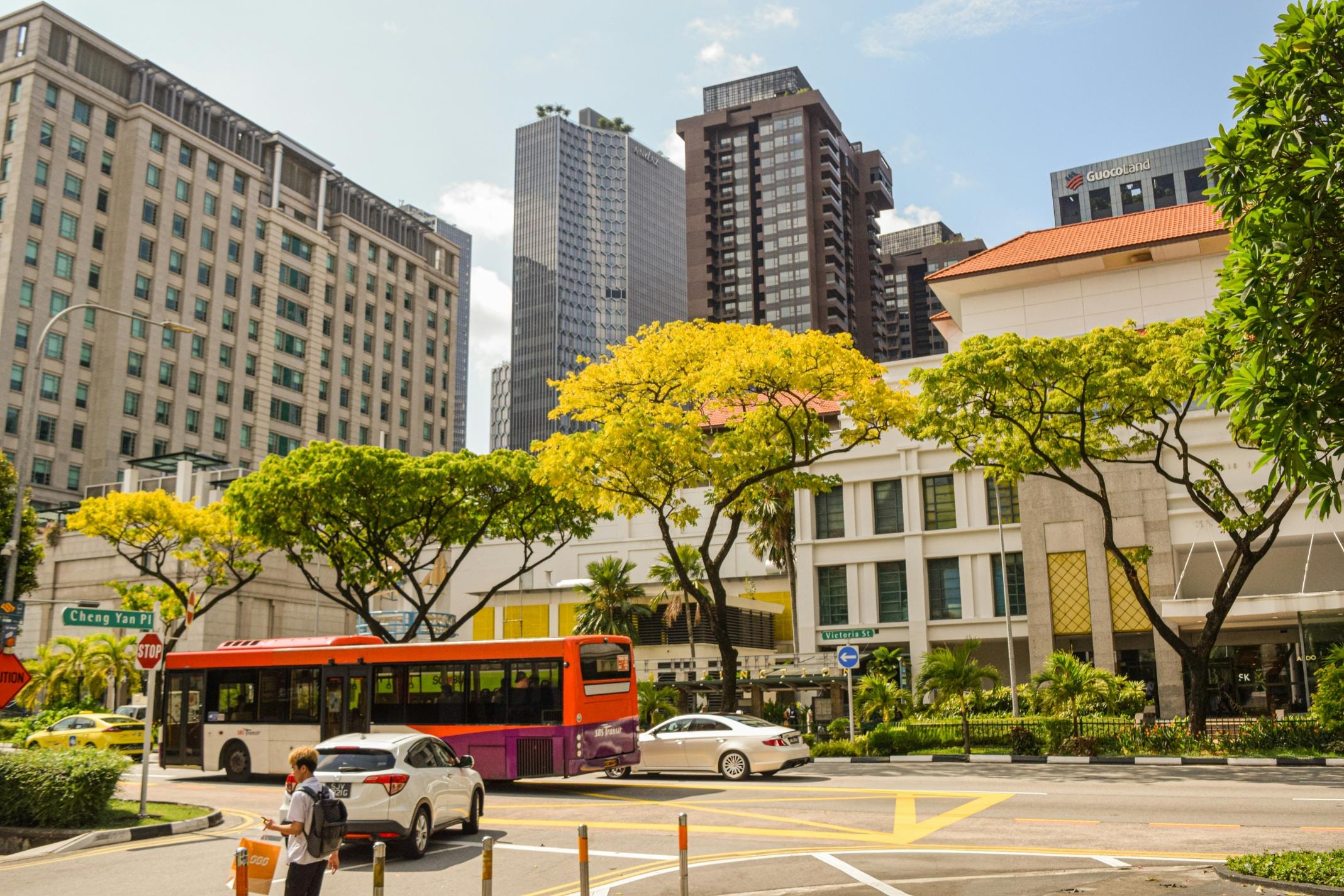 A large orange and purple bus navigates a sunny intersection alongside white vehicles, set against a backdrop of towering modern skyscrapers and lower white buildings with terracotta roofs. Vibrant trees with yellow and green foliage line the street, creating a colorful contrast between the lush nature and the bustling urban environment.
