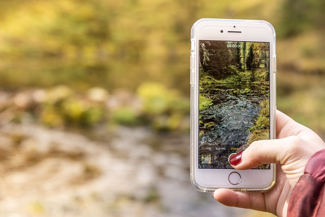 smartphone, photo, nature