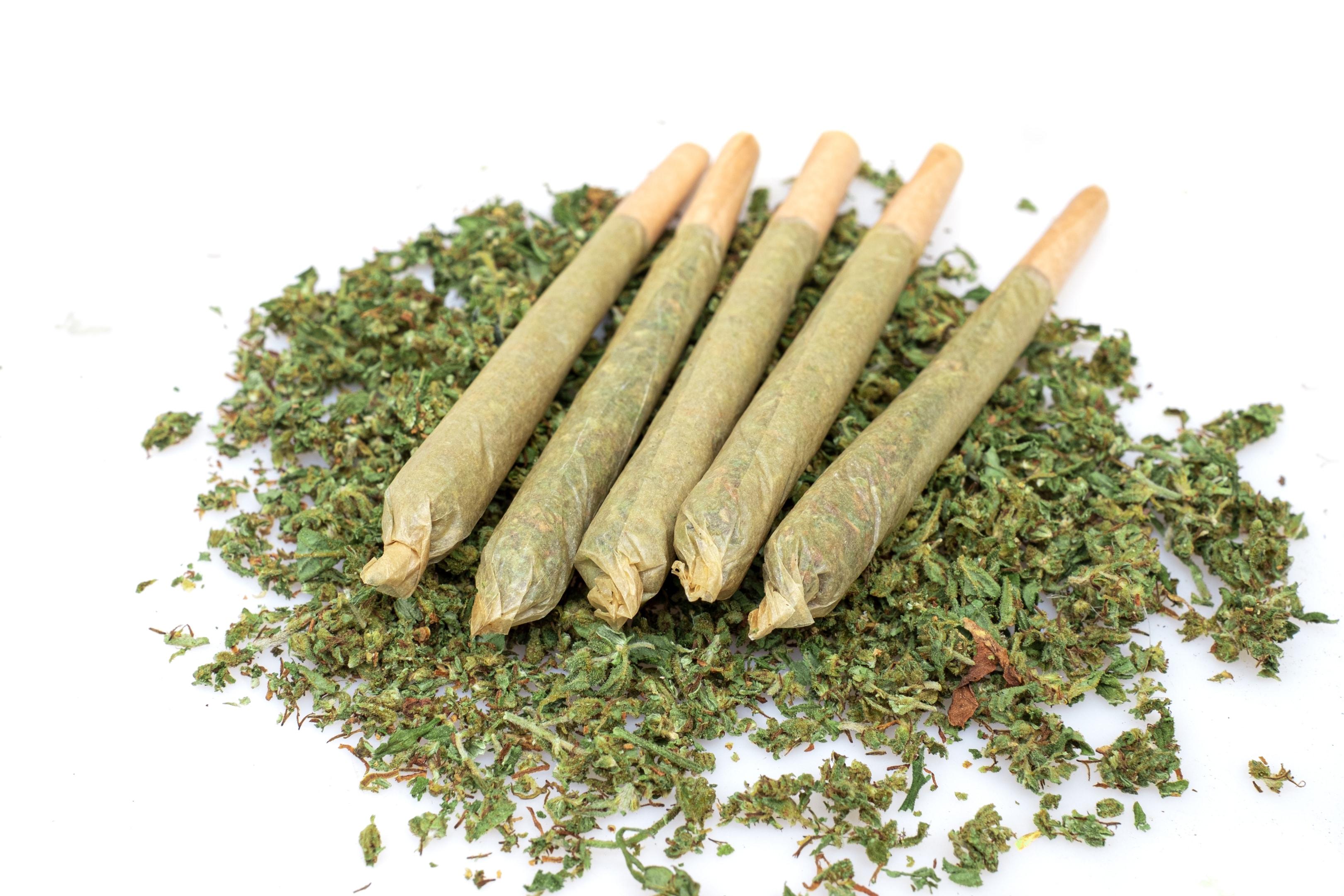 Exploring THCA Flower: Potential Benefits and Effects