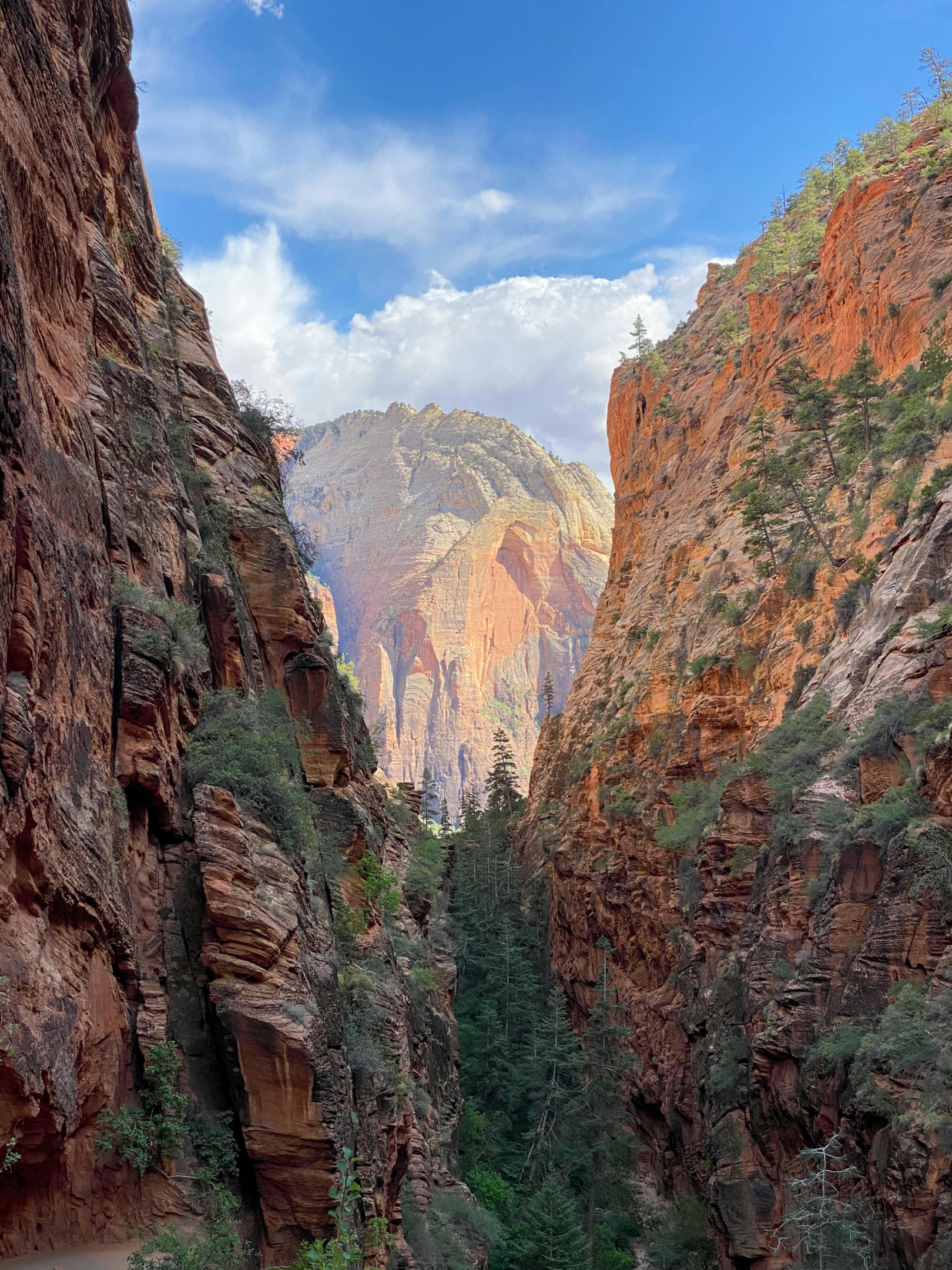 rv camping kolob canyon
