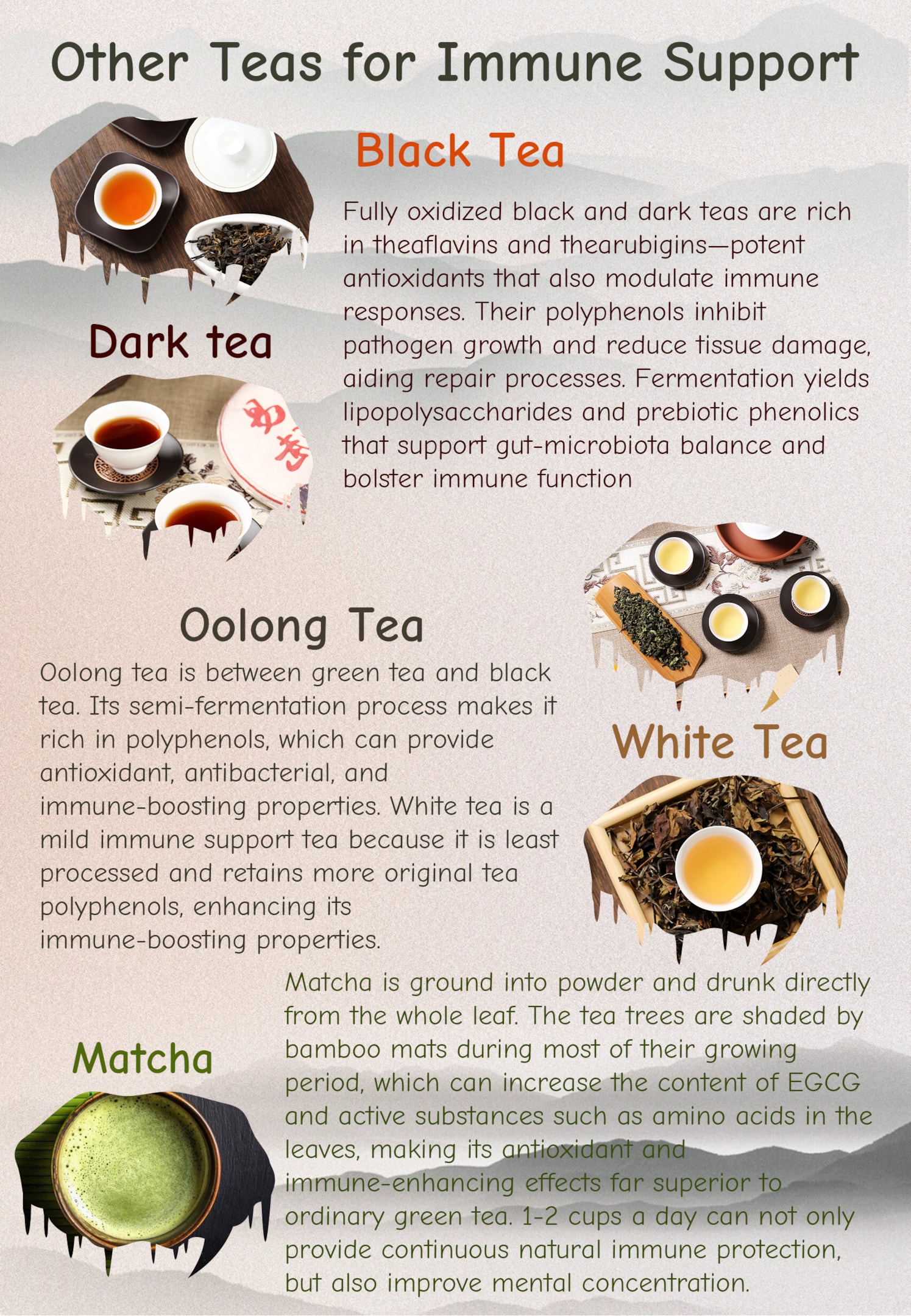Other Teas for Immune Support