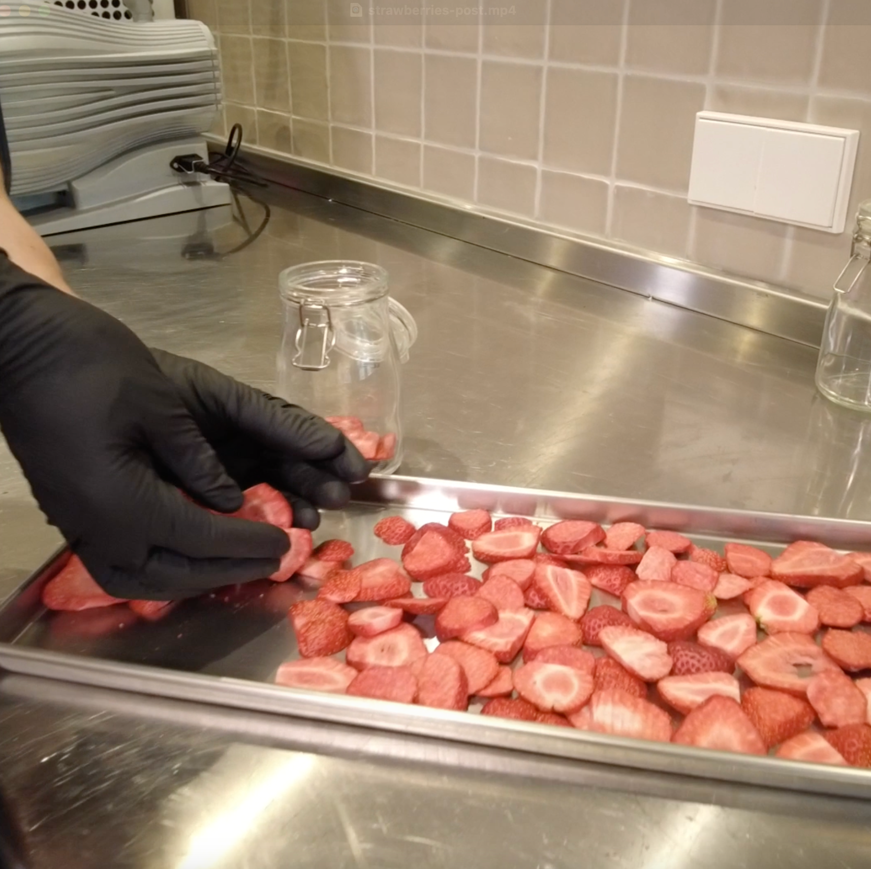 Freeze dried food after the drying process 