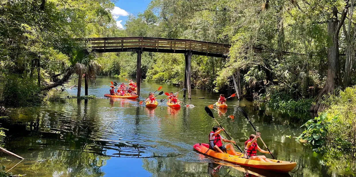 Kayaking Hillsborough River