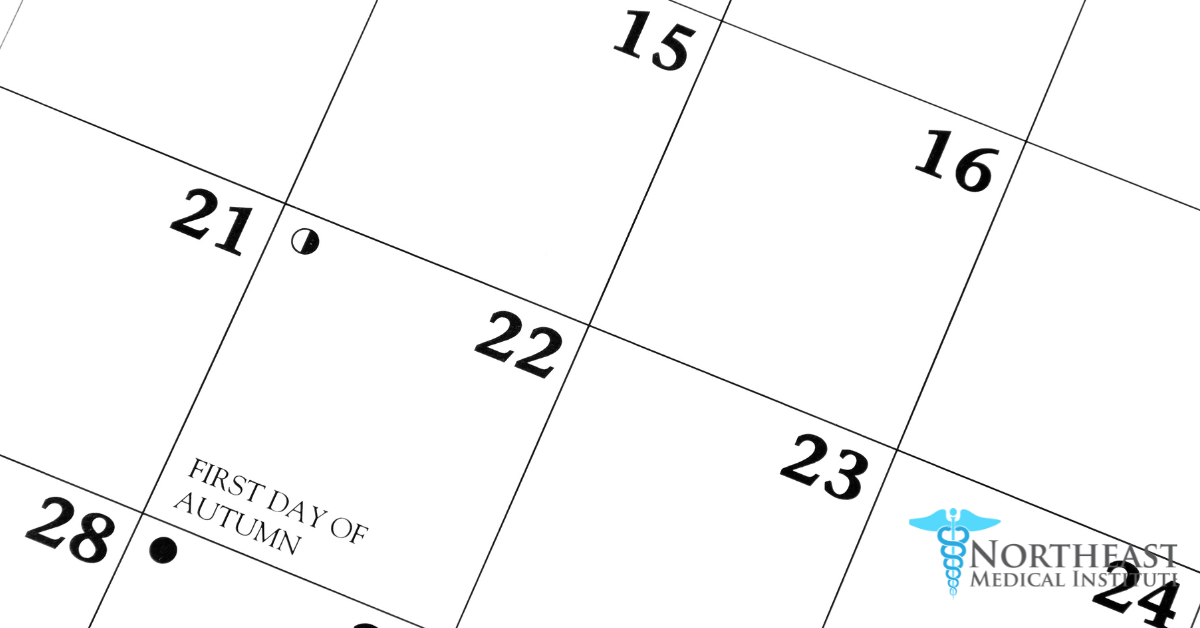 Illustration of a class schedule calendar