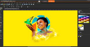 Corel PaintShop Pro