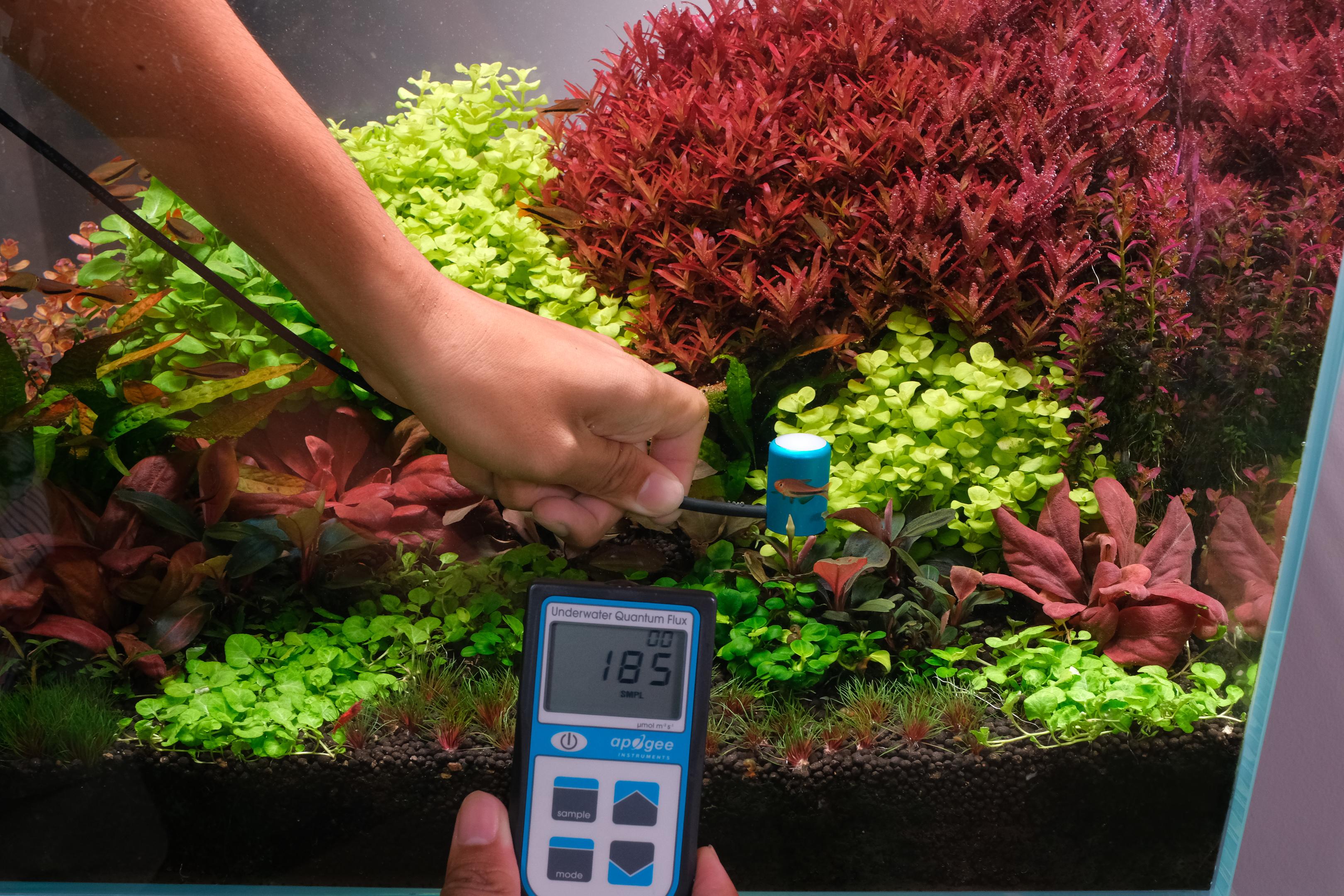 PAR meter in planted aquarium showing PAR at substrate level