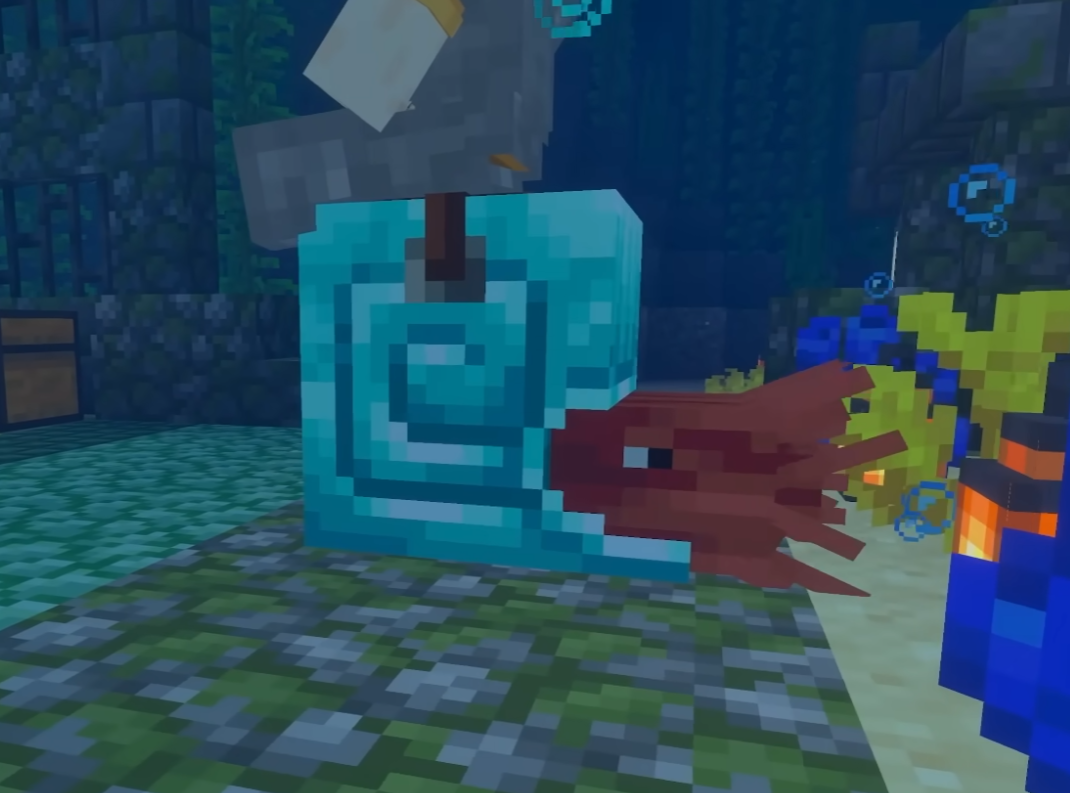 minecraft nautilus shell