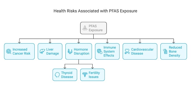 Health Risks  associated with PFAS