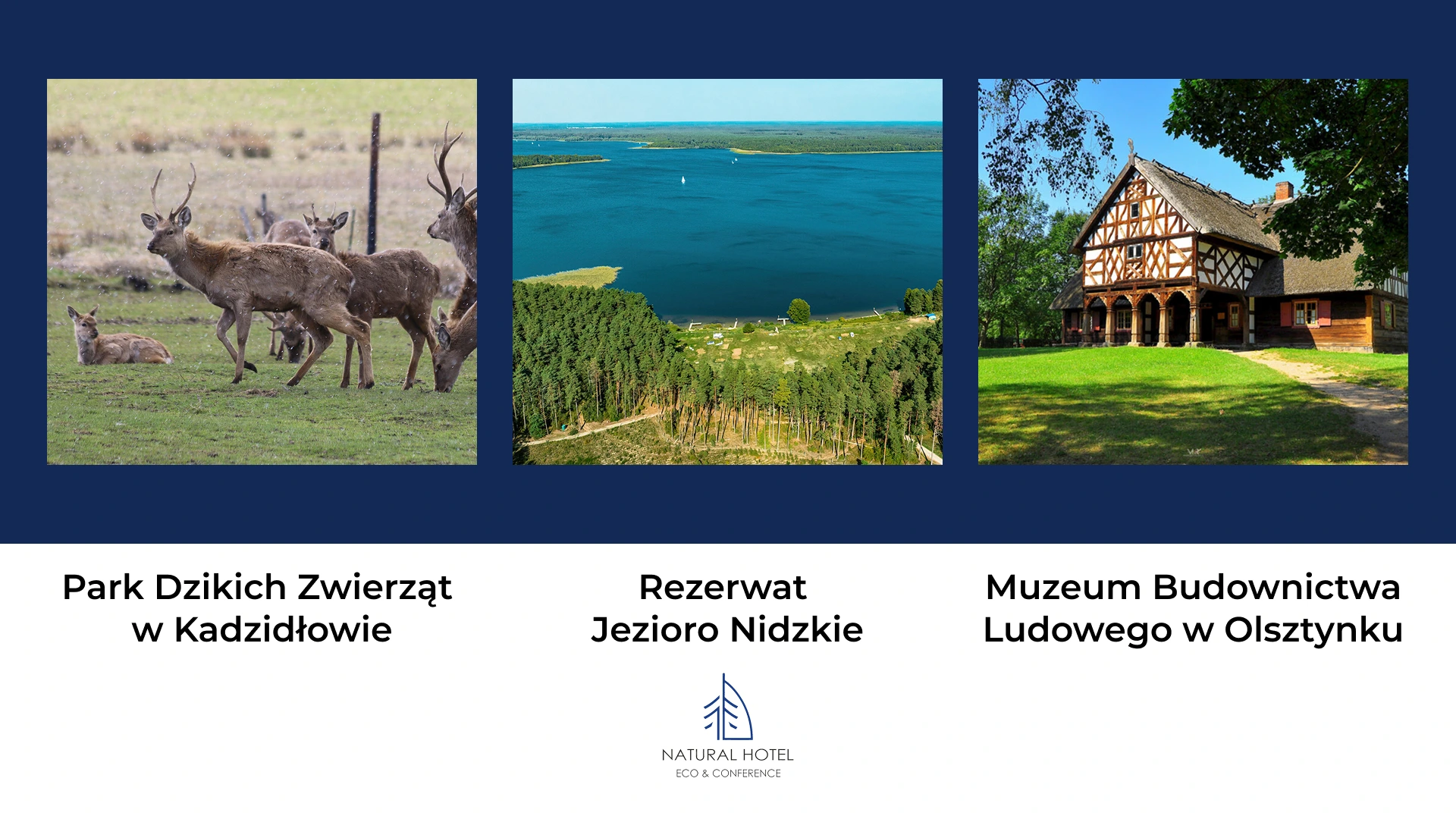 Mazury urokliwe miejsca - Muzeum Budownictwa Ludowego w Olsztynku, Rezerwat Jezioro Nidzkie, Park Dzikich Zwierząt w Kadzidłowie