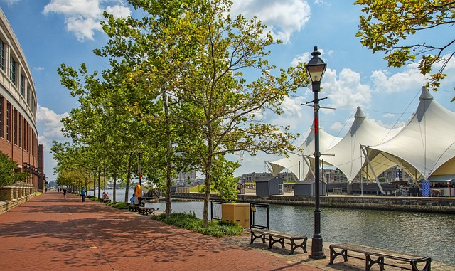 baltimore, inner harbor, boats, downtown Baltimore area, Baltimore City, Baltimore downtown area, dynamic inner harbor