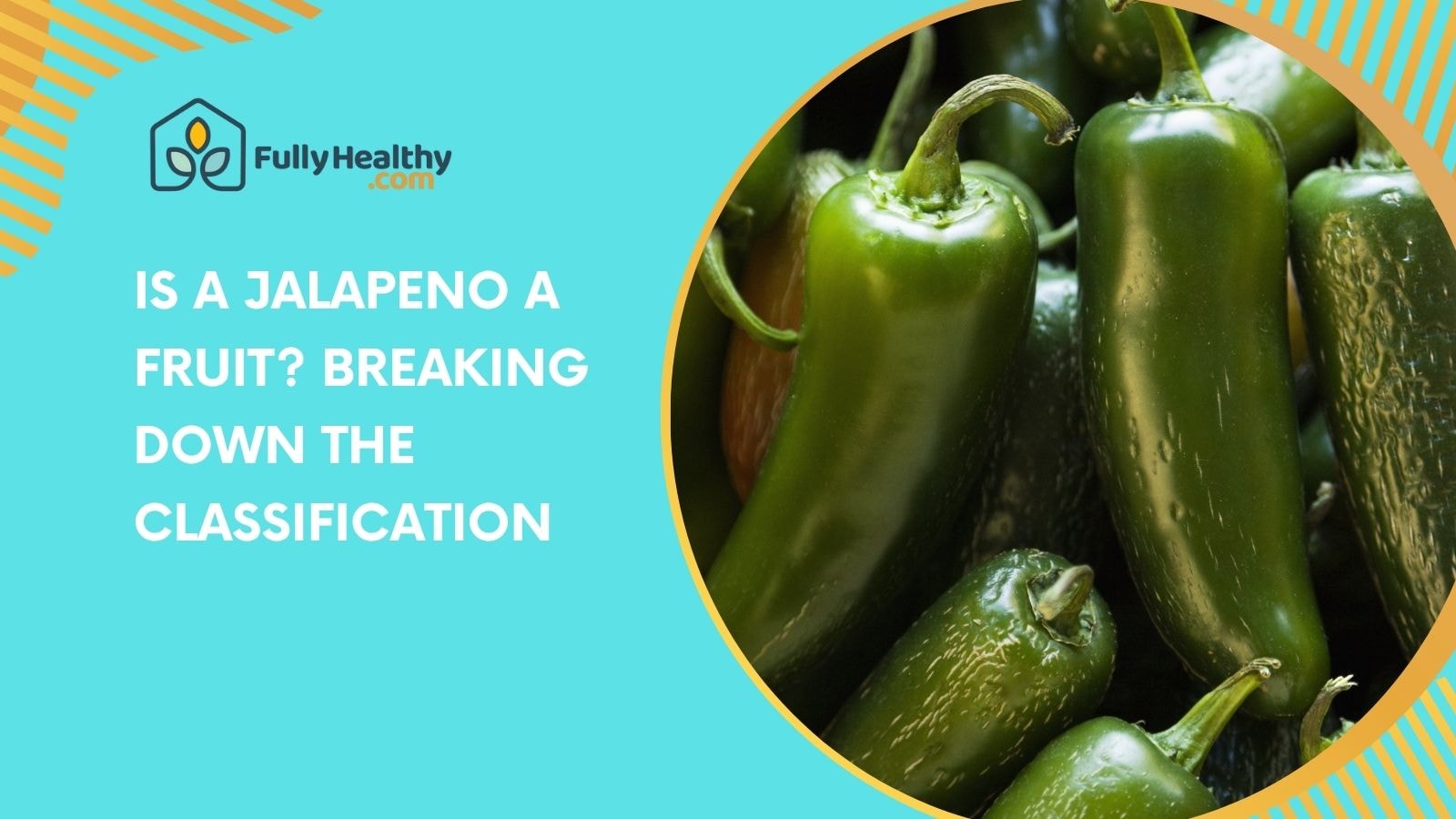 Is a Jalapeno a Fruit? Breaking Down the Classification