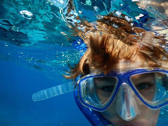 swimming, snorkeling, ocean