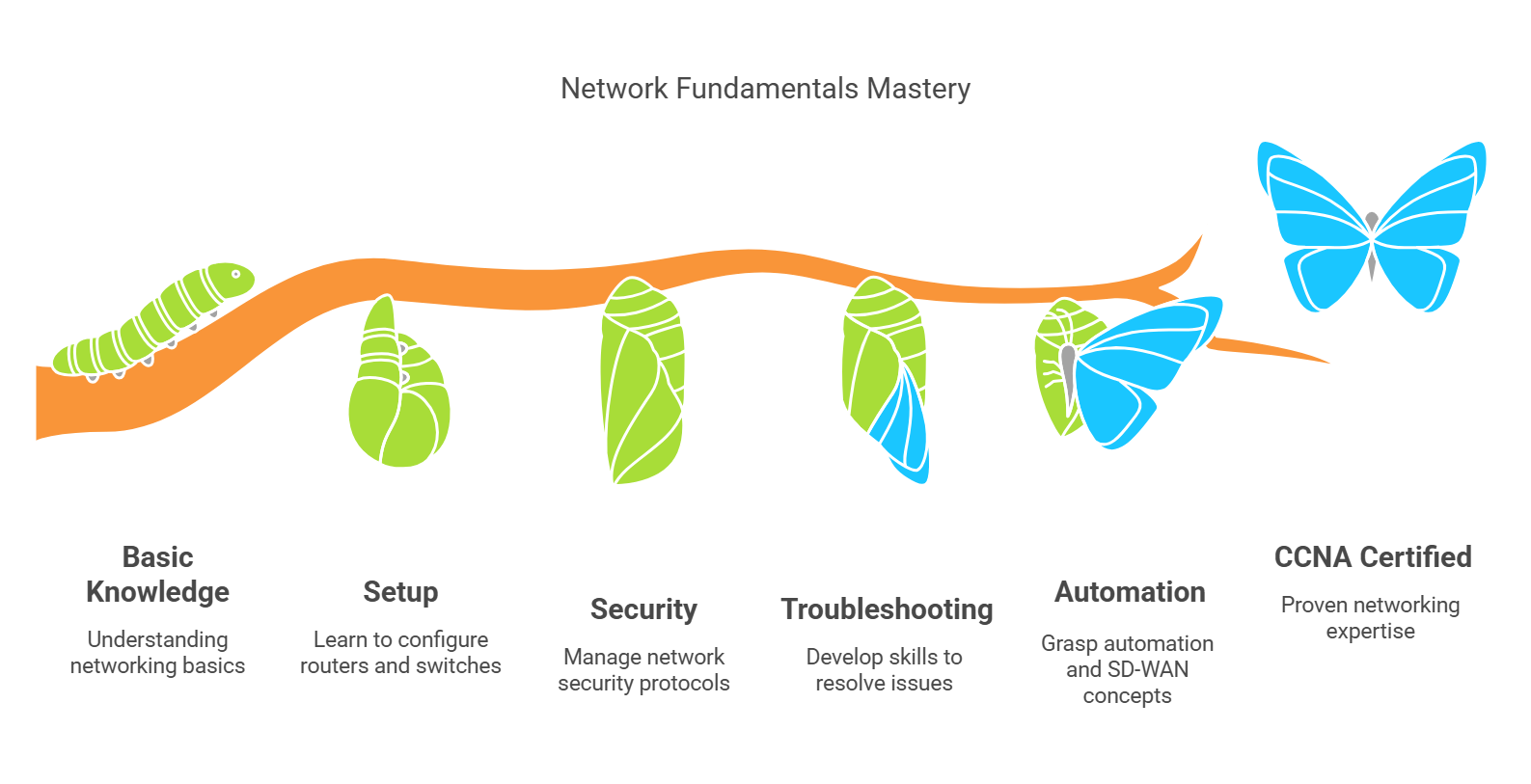CISCO Certification coverage