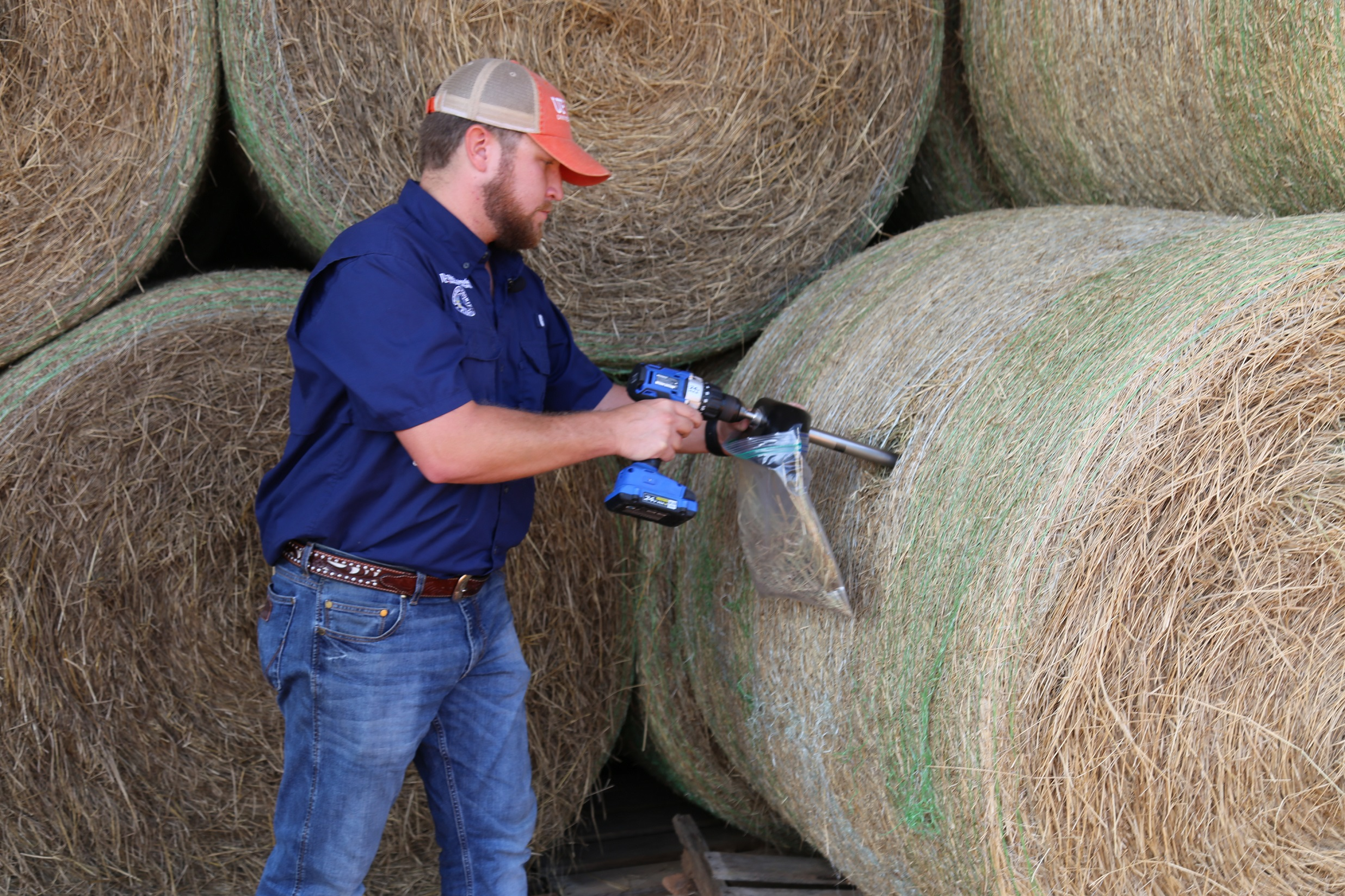 A hay probe being inserted into a hay bale