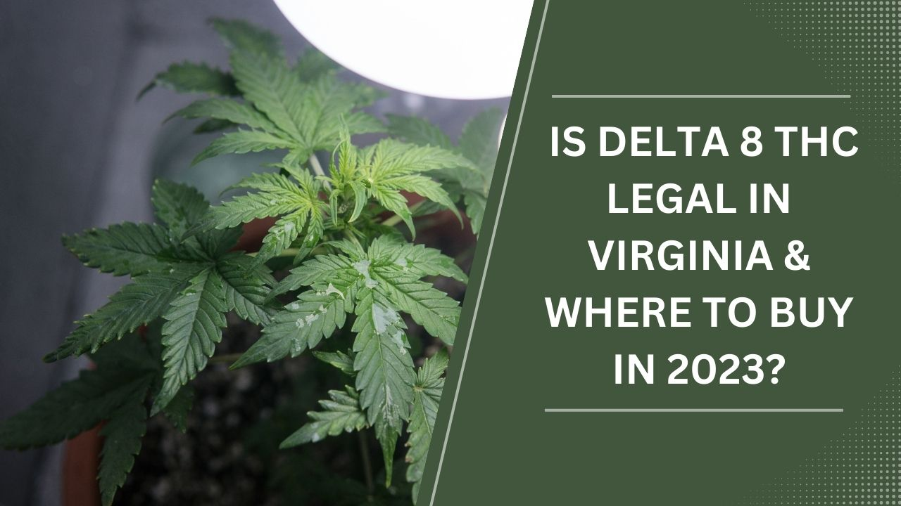 Is Delta 8 THC Legal in Virginia?