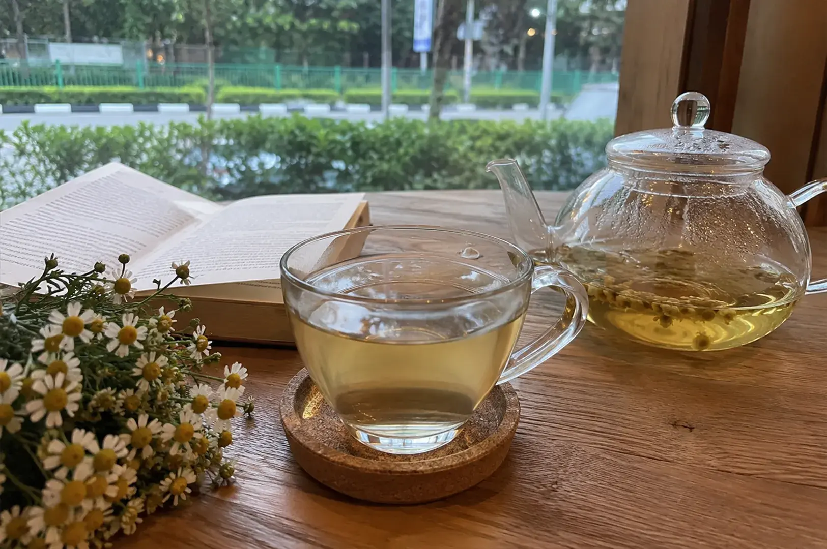 A warm, relaxing table setting by a window features a clear glass teacup filled with amber-colored tea resting on a round cork coaster in the center. To its right, a large clear glass teapot brews whole chamomile flowers in a golden liquid, while an open book lies flat to the left behind a vibrant bouquet of fresh chamomile daisies. Through the large window in the background, a blurred street view with green hedges, trees, and a distant road creates a peaceful afternoon reading ambiance.