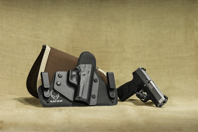 holster, gun, pistol