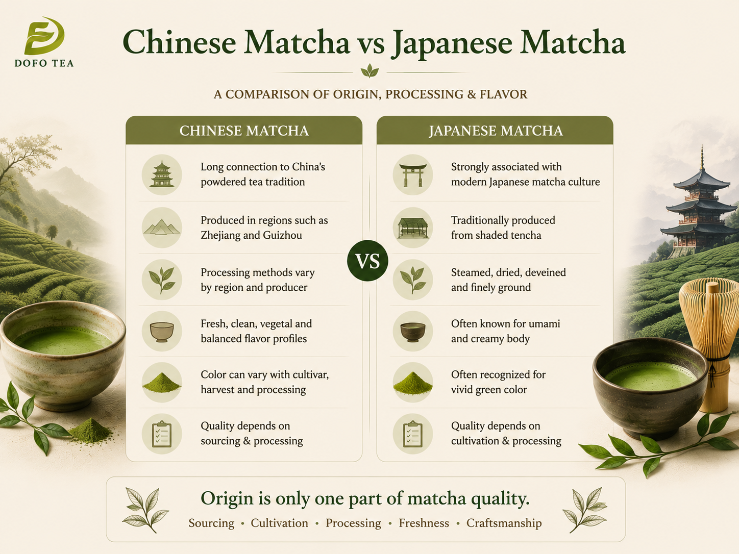 Chinese vs Japanese Matcha