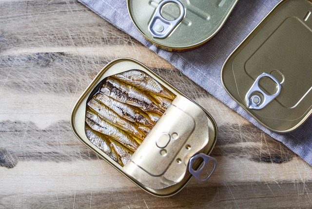 Can of Sardines