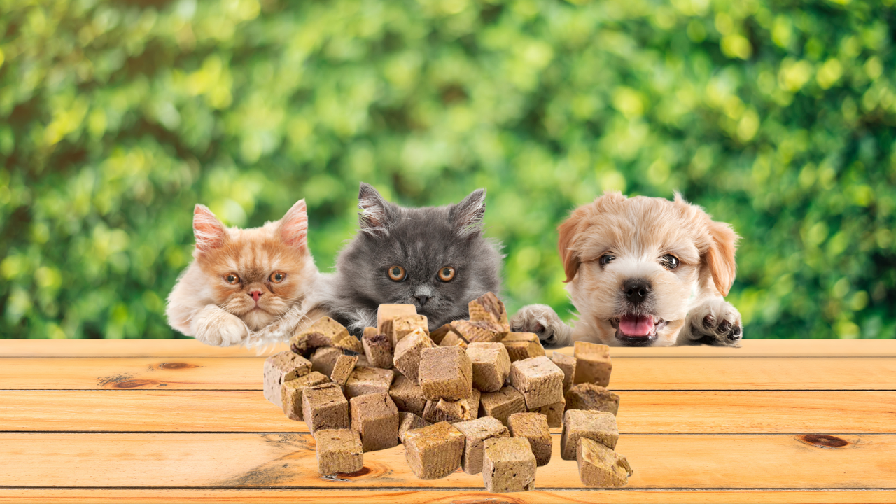 Freeze-Dried Pet Foods