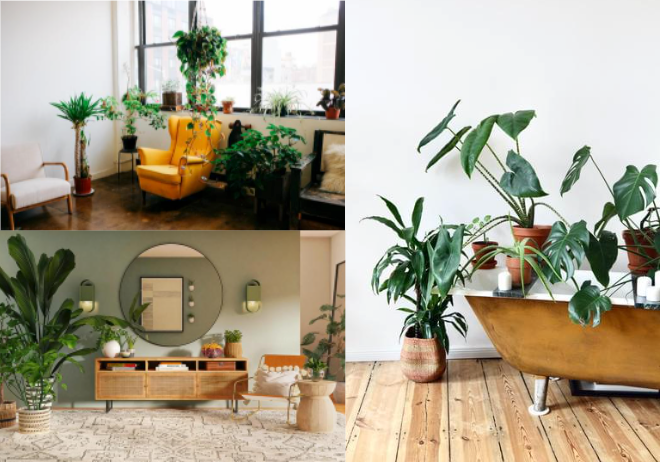 greener apartment living