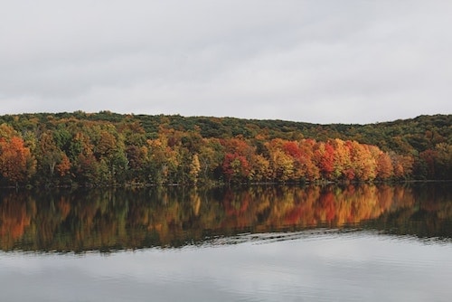 Fall foliage along Bantam Lake
