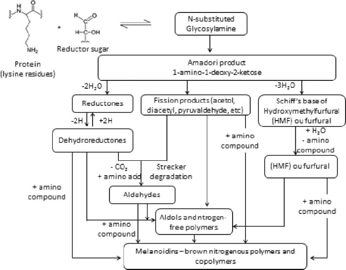 maillard reaction coffee roasting chemistry