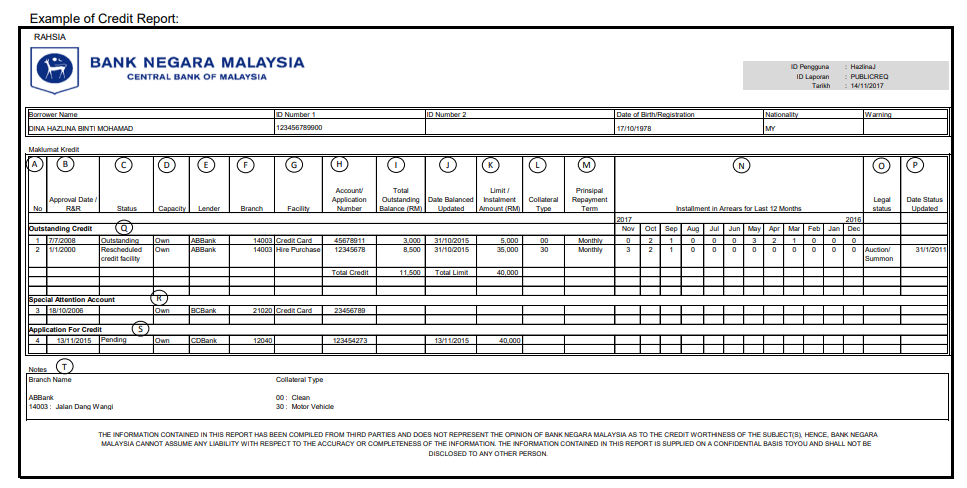 ccris report bank negara malaysia