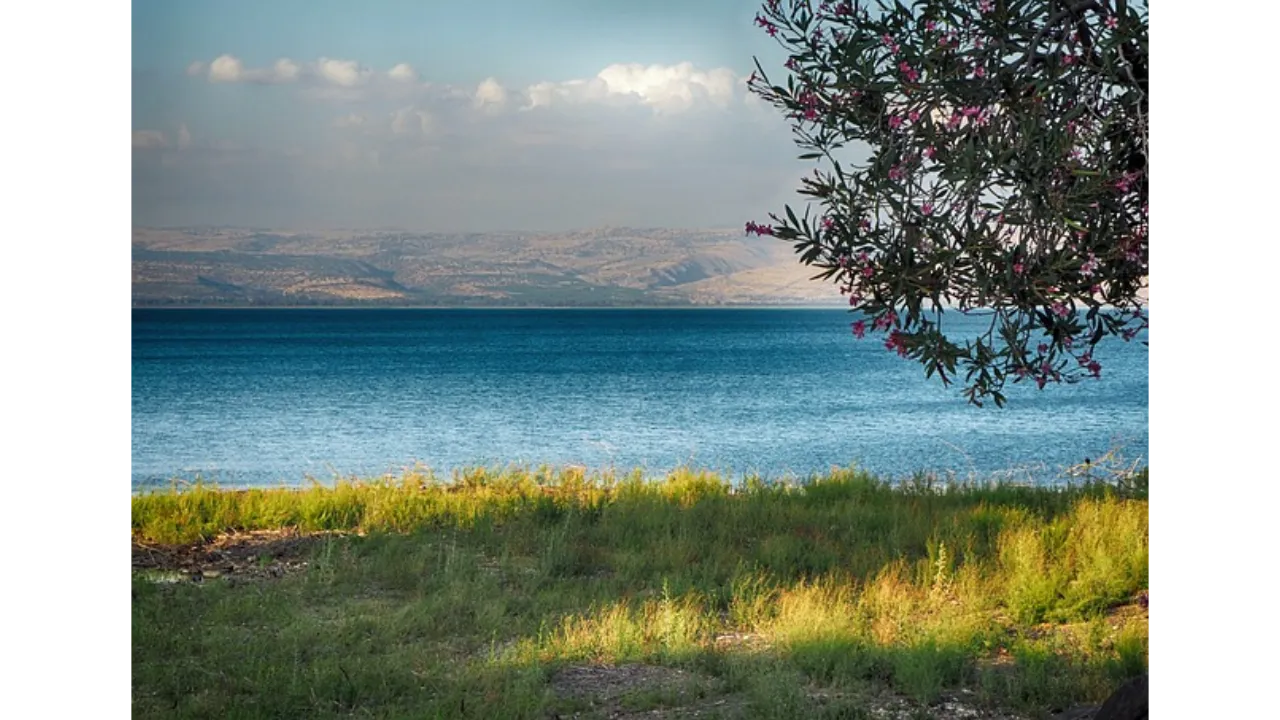 sea, sea of galilee, galilee - O God I have fear and anxiety teach me to focus on You as a living stream to bring healing and better health.