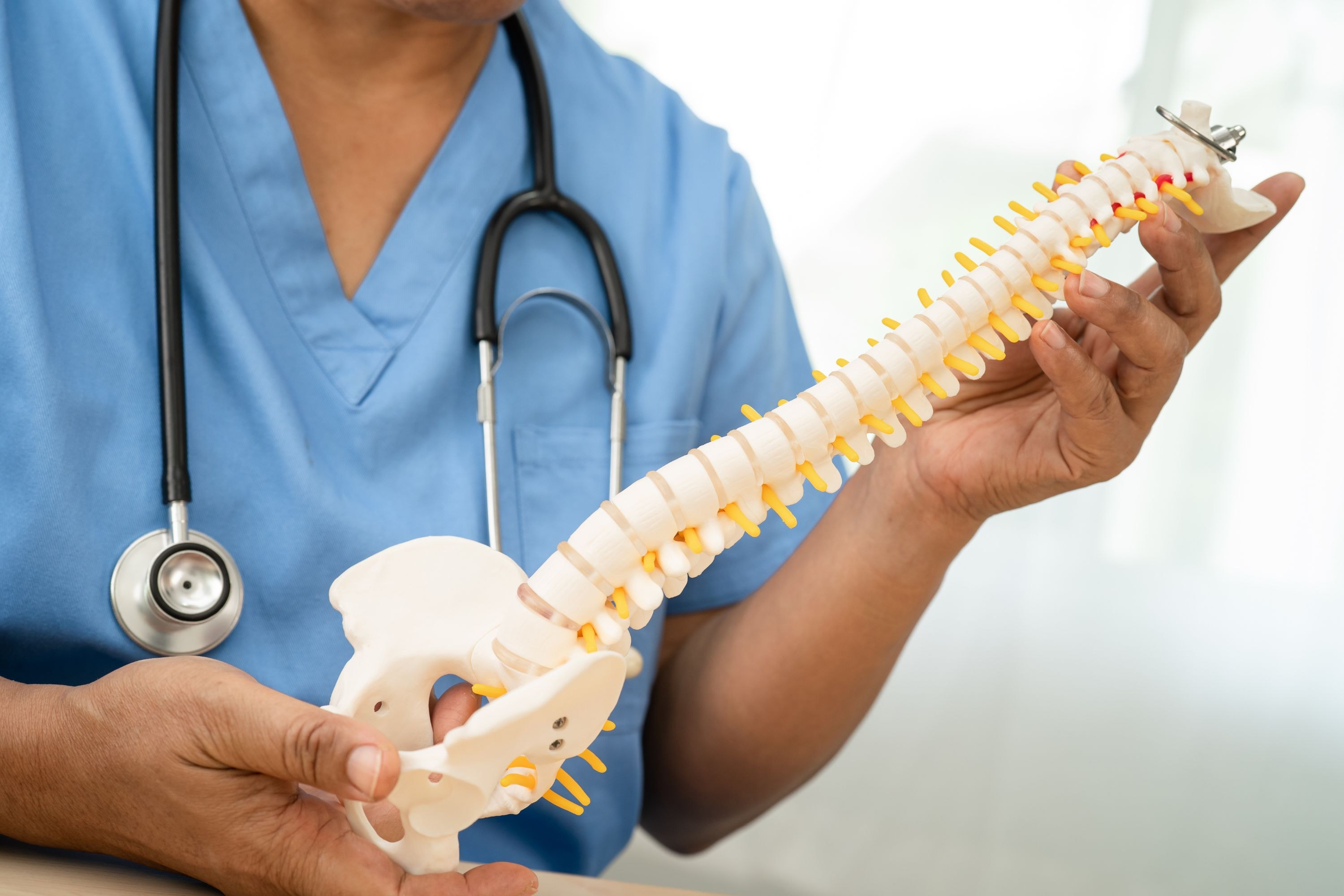 Medical professional holding a spinal column model to explain spinal alignment and diagnostic imaging compatibility, supporting the role of ray translucence in modern backboards.
