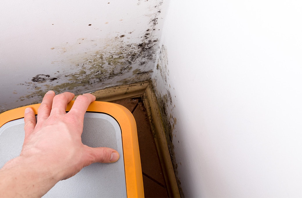 Preventing mold growth after water intrusion.