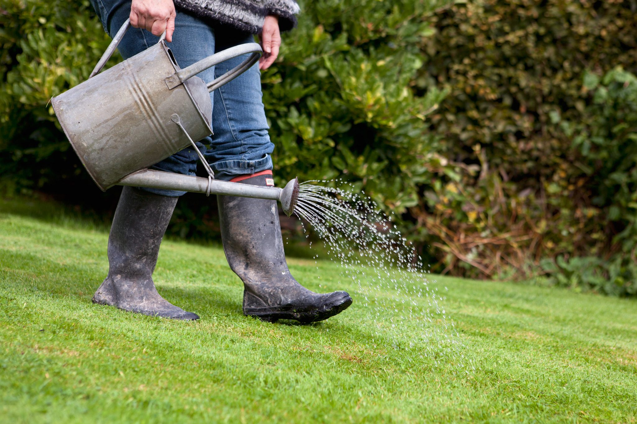 Expert Grass Installers in Cypress
