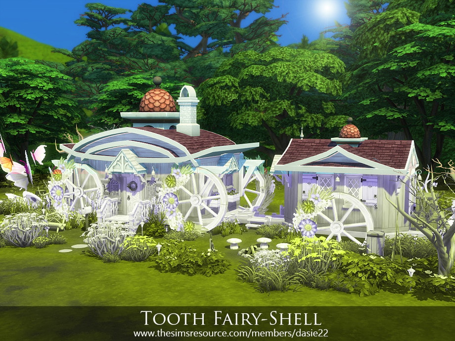 Tooth Fairy Shell