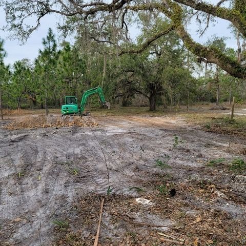 Brush clearing underway