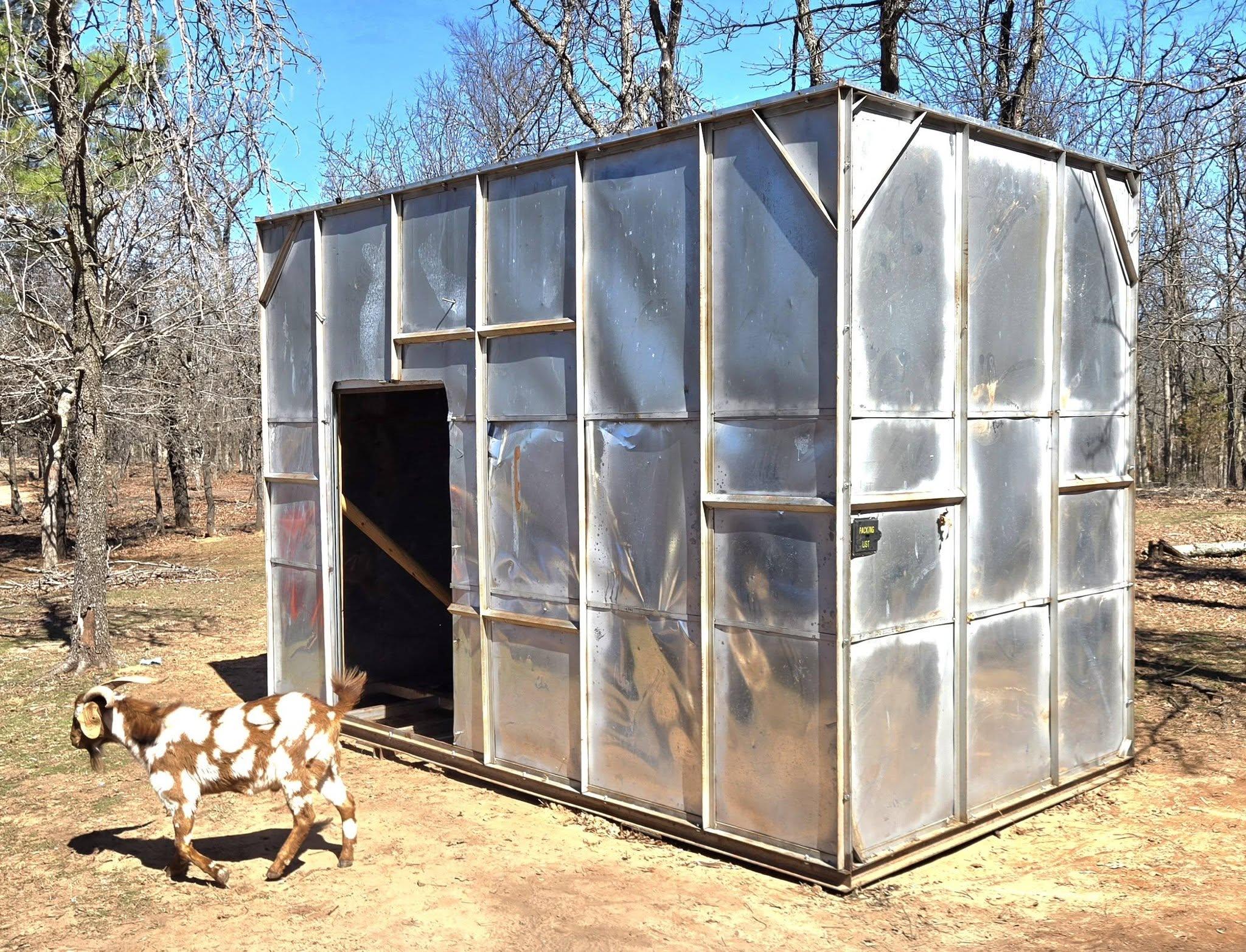 A sheet metal wood kiln with a goat standing beside it used to dry milled lumber. 
