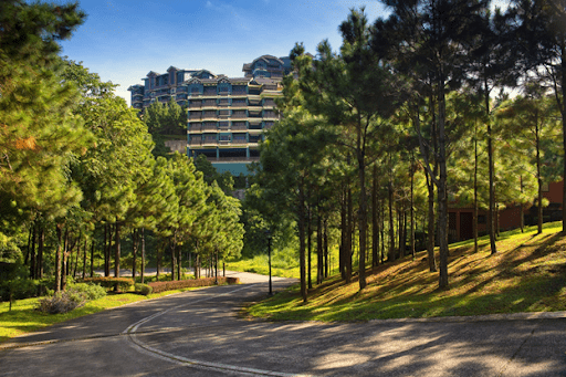 ALT: Photo of a building surrounded by pine trees in day time. | IMG LINK: https://www.brittany.com.ph/wp-content/uploads/2021/08/unnamed-14.png