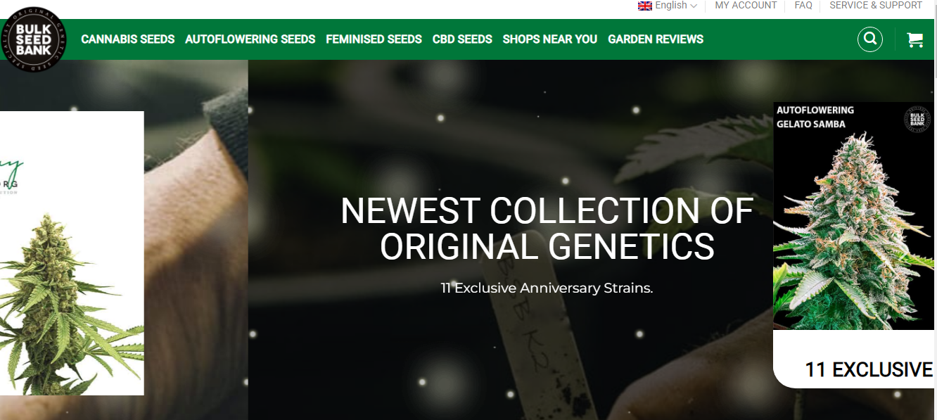 10 Best Places To Buy Marijuana Seeds In Bulk Online Bulk Seed Bank
