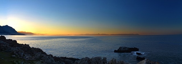 Whale Watching in Hermanus