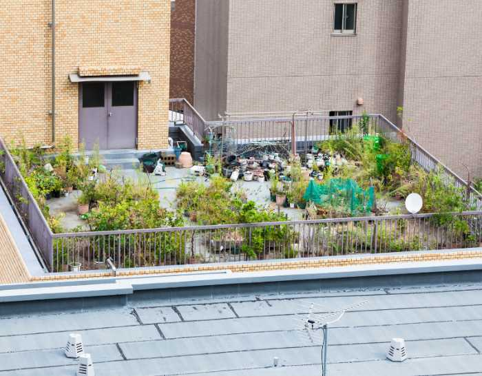 Green rooftop gardens can provide an environmental benefit for your city.