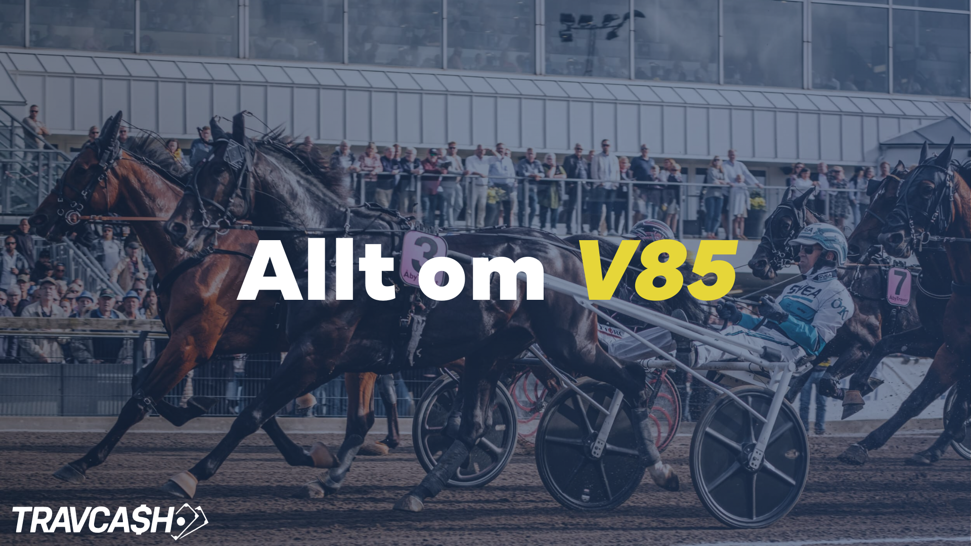 Travcash går igenom allt om V85