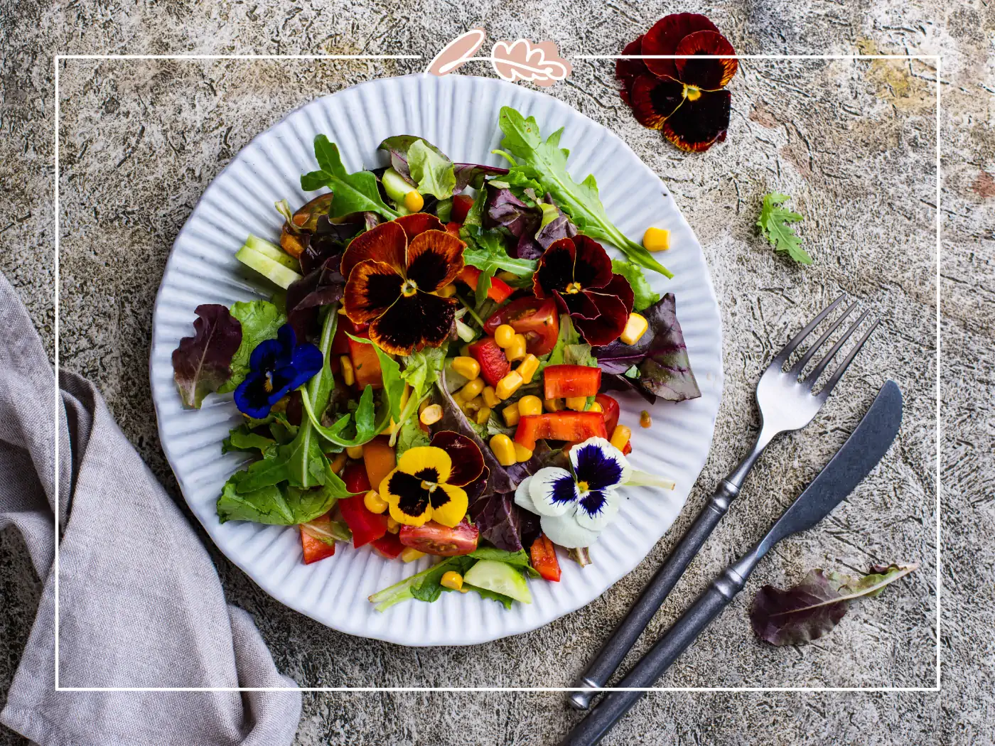 Fresh salad with a variety of edible flowers on a plate. Fabulous Flowers and Gifts.