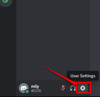 Screenshot showing the user settings button on Discord