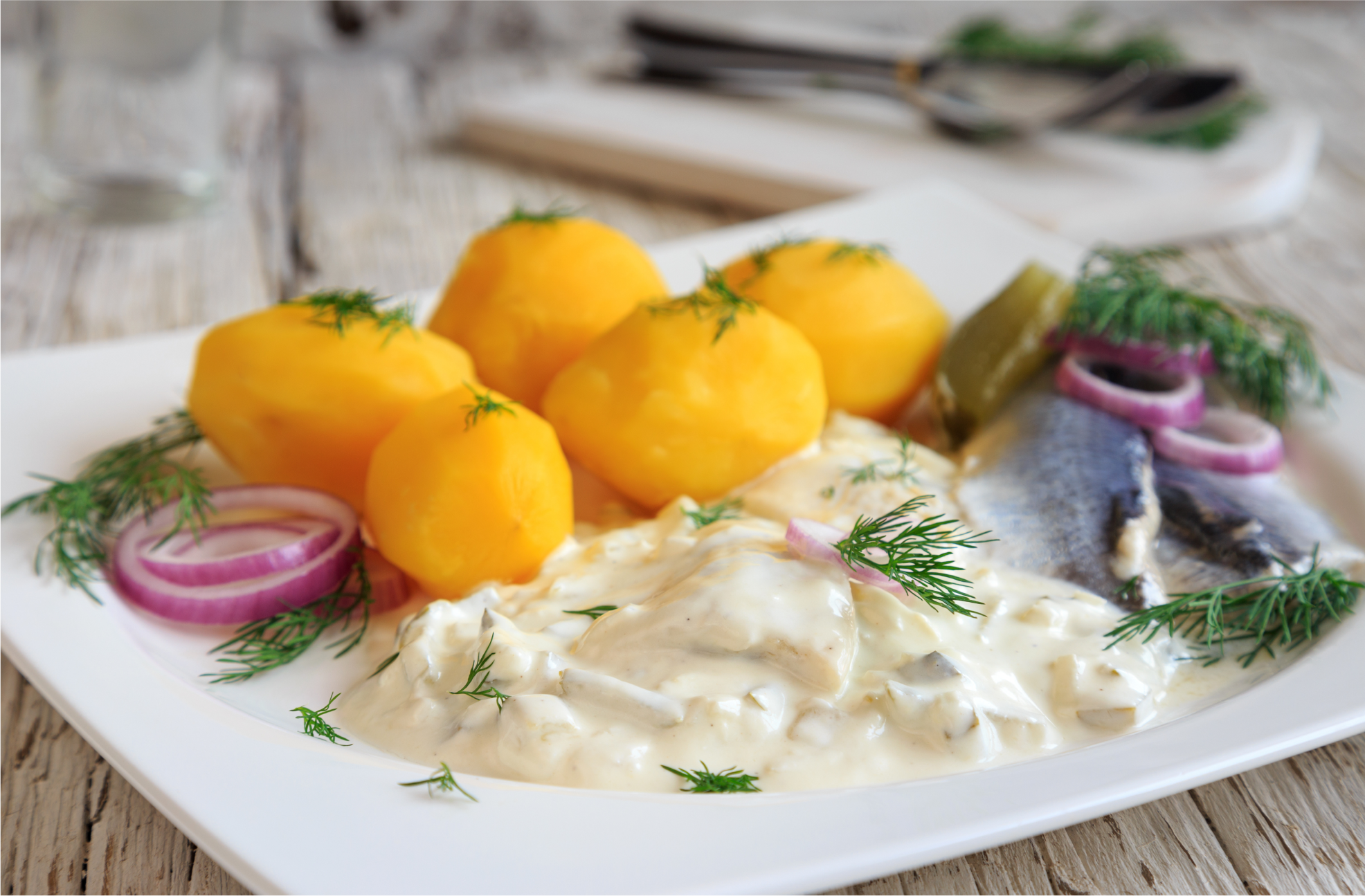 Składniki do przygotowania śledzi, w tym cebula i filety śledziowe.