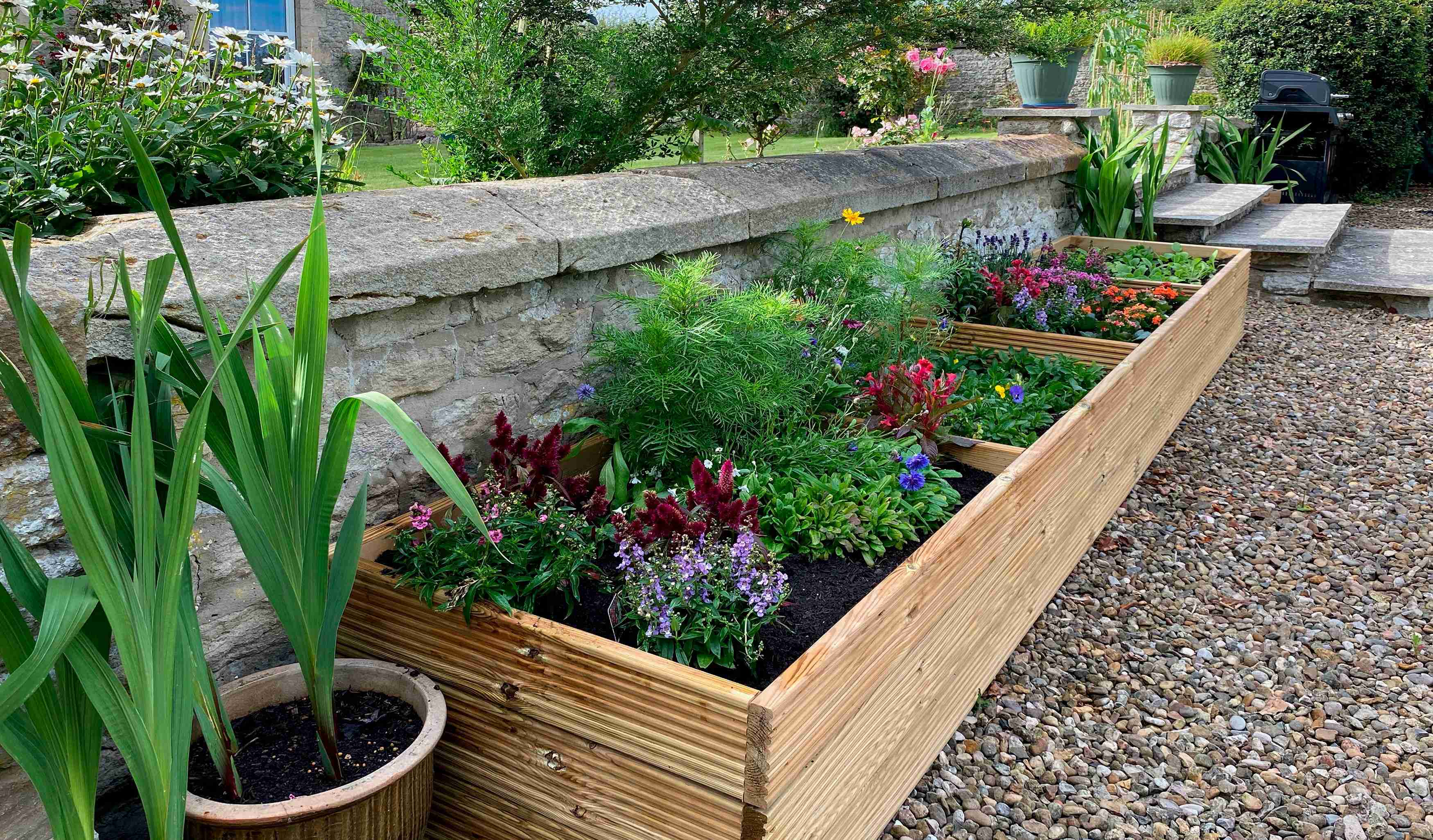 raise garden beds