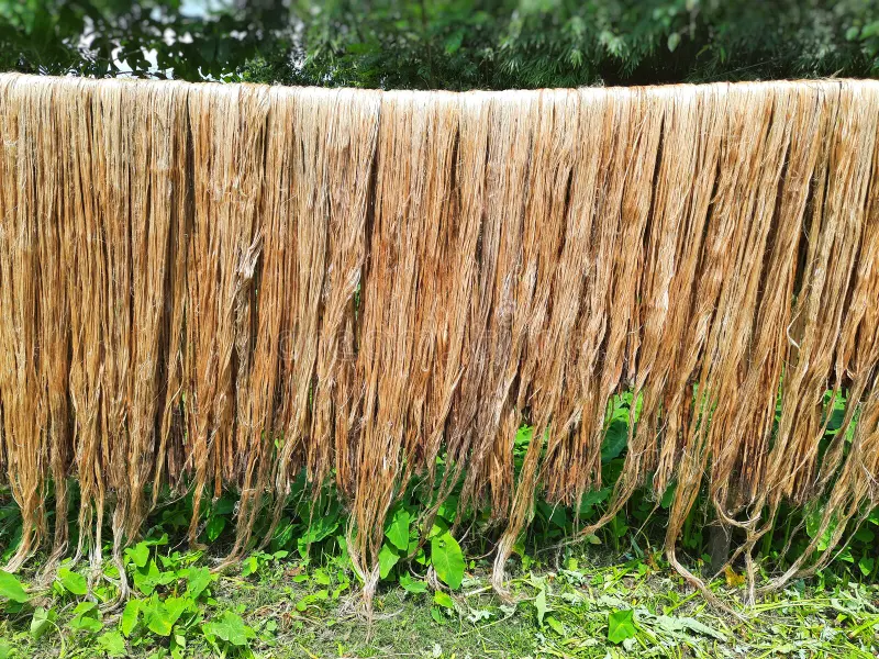 Jute an Eco Friendly Fiber