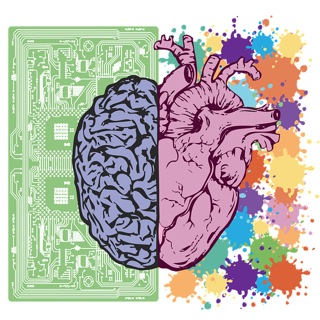 mental illnesses, psychiatric disorders